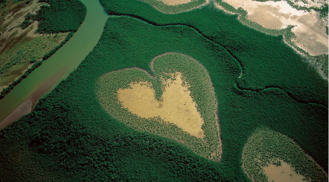 EARTH_FROM_ABOVE_by_pipipink